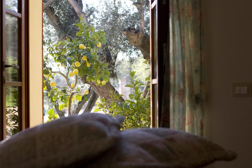 Il Bottaccio Casa Di Campagna Venturina Terme Quarto foto